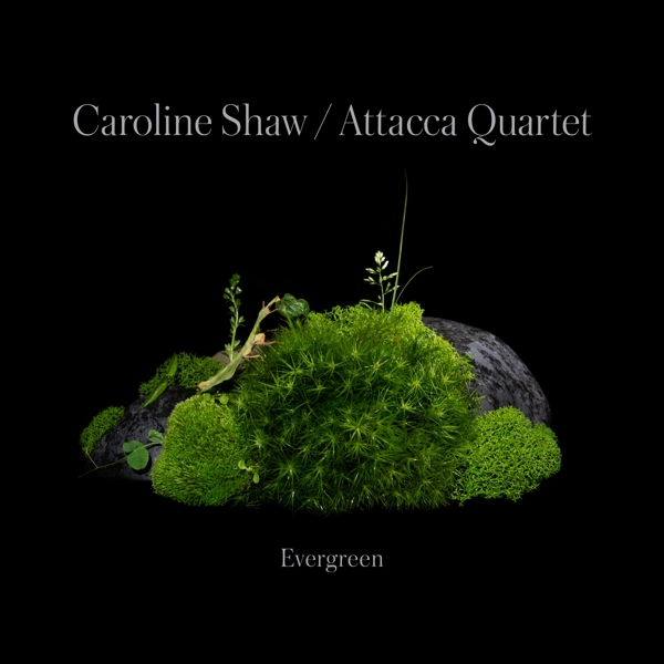 Caroline Shaw & Attacca Quartet - Evergreen (CD)