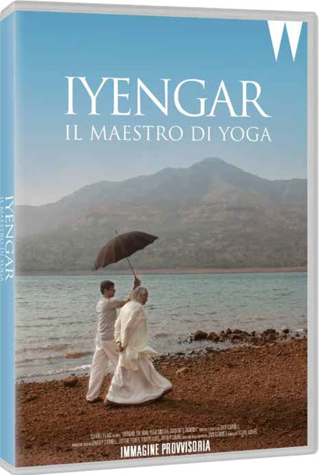 Iyengar - Il Maestro Di Yoga (Import)