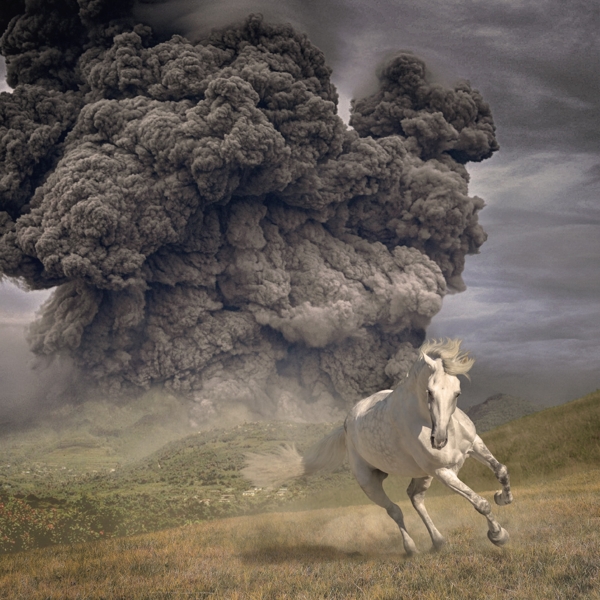 White Buffalo - Year Of The Dark Horse (LP) (Coloured Vinyl) (Limited Edition)