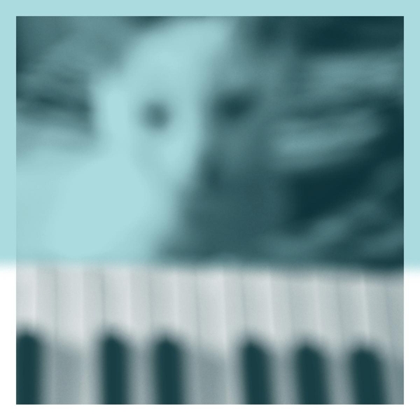 Peter Broderick - Piano Works Vol. 1 (2 LP)