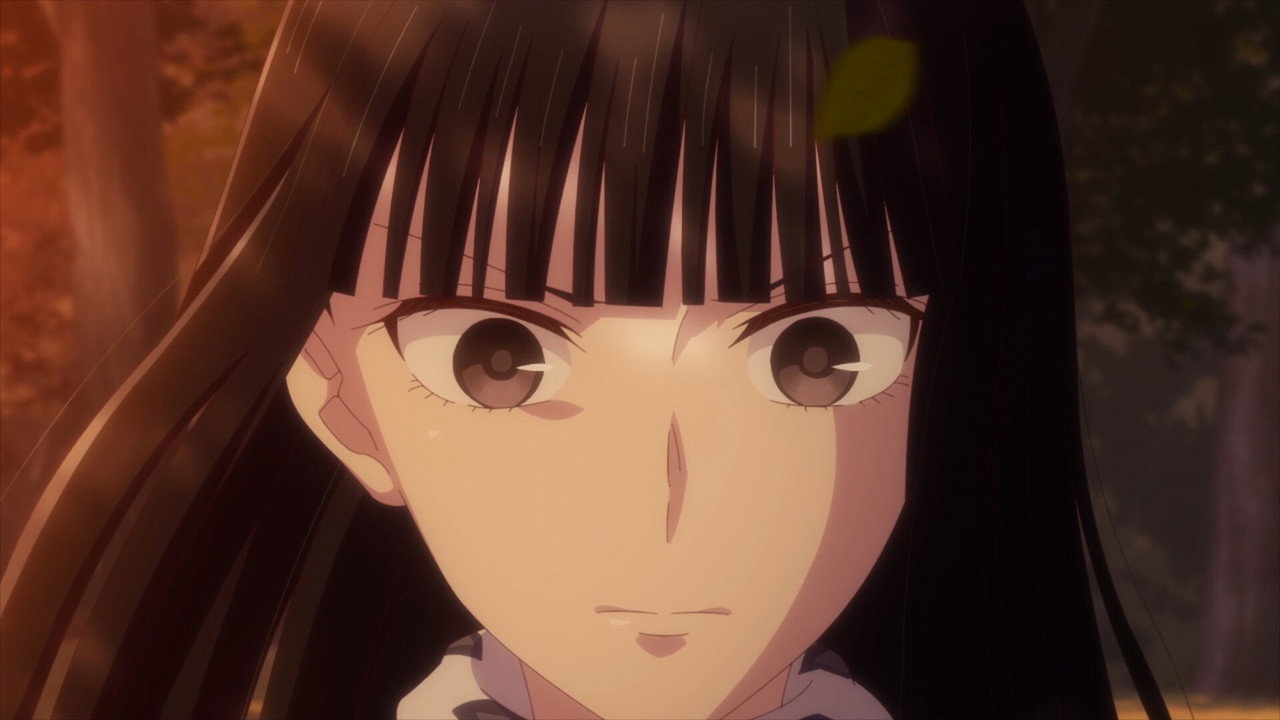 Fruits Basket: Season 3 Limited Edition (Import)