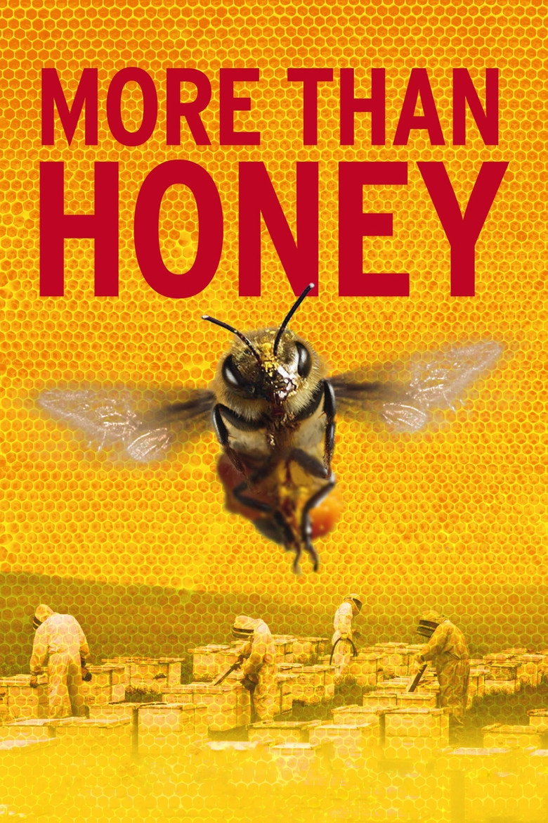 More Than Honey (DVD)