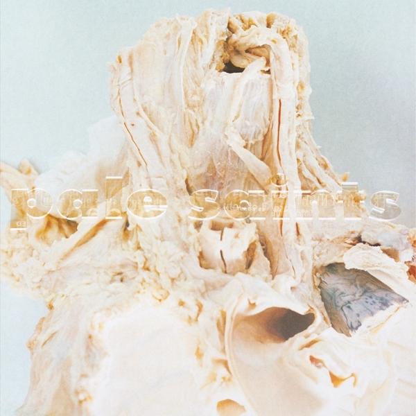 Pale Saints - In Ribbons (LP) (Remastered)