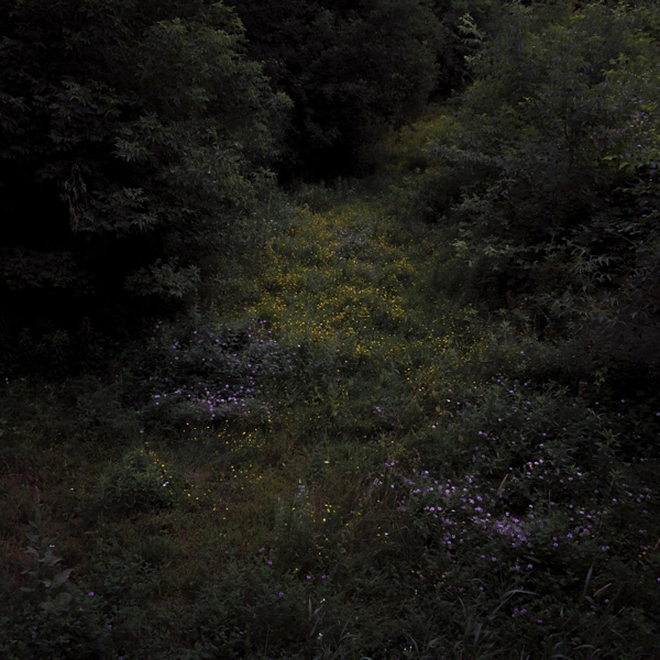 Fireworks - Higher Lonely Power (LP) (Coloured Vinyl) (Limited Edition)