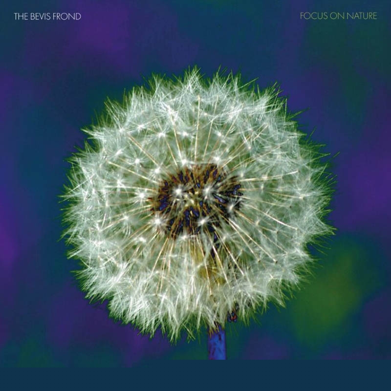 The Bevis Frond - Focus On Nature (CD)