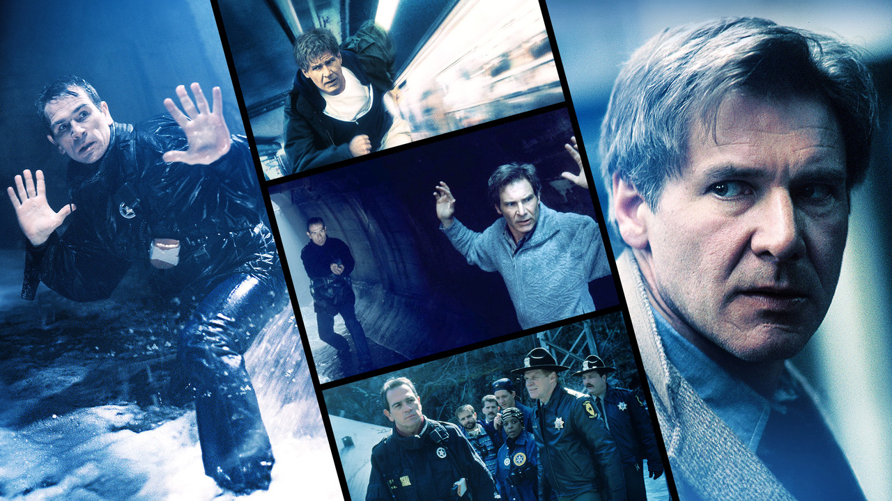 The Fugitive  (DVD)