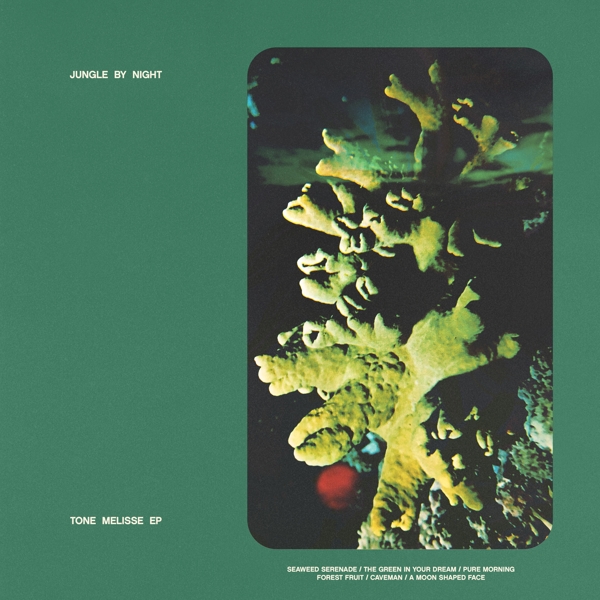 Jungle By Night - Tone Melisse (12" Single)