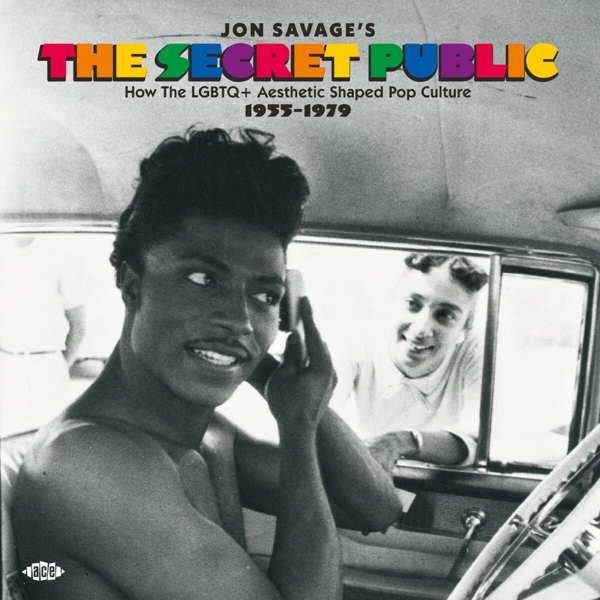 Various Artists - Jon Savage's The Secret Public (2 CD)