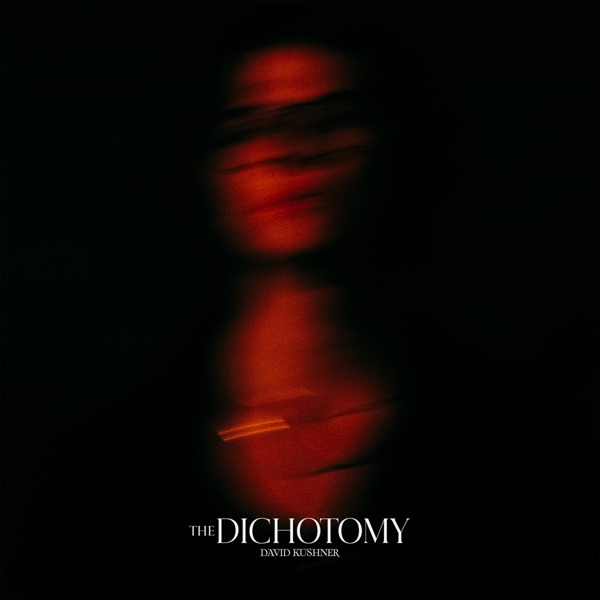 David Kushner - The Dichotomy (2 LP)