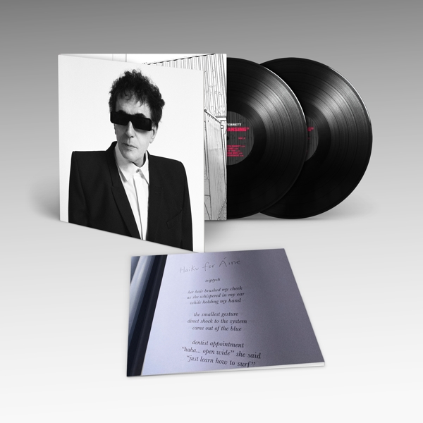 Peter Perrett - The Cleansing (2 LP)