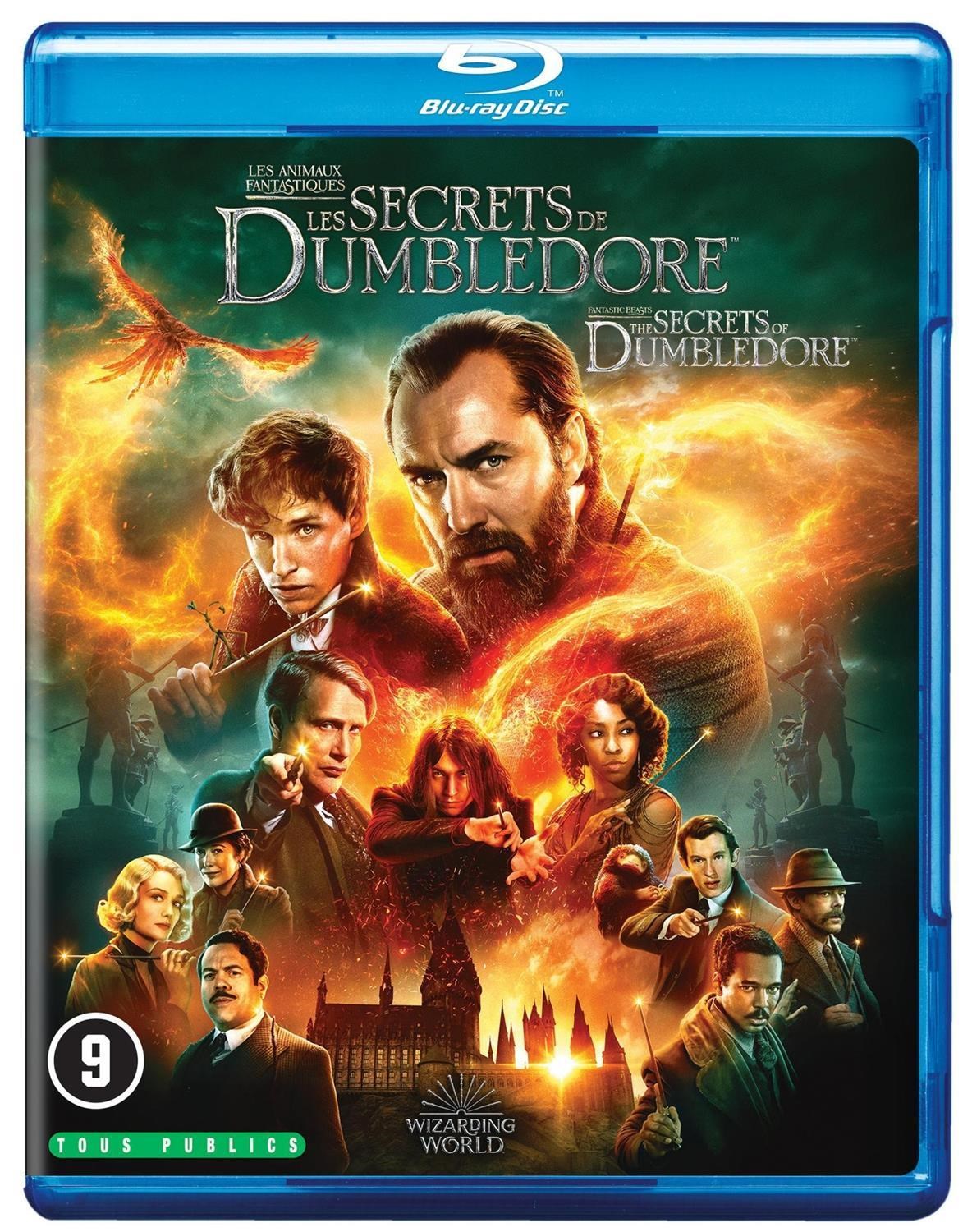 Fantastic Beasts - The Secrets Of Dumbledore (Blu-ray)