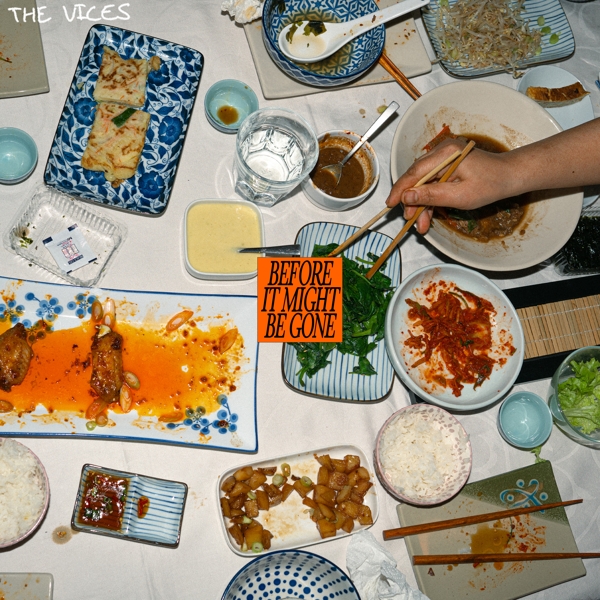 Vices - Before It Might Be Gone (LP)