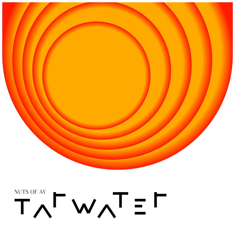 Tarwater - Nuts Of Ay (LP)