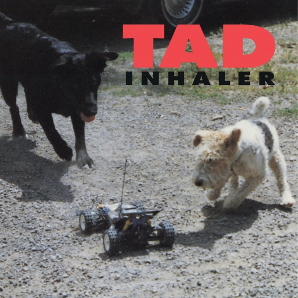 Tad - Inhaler (LP)