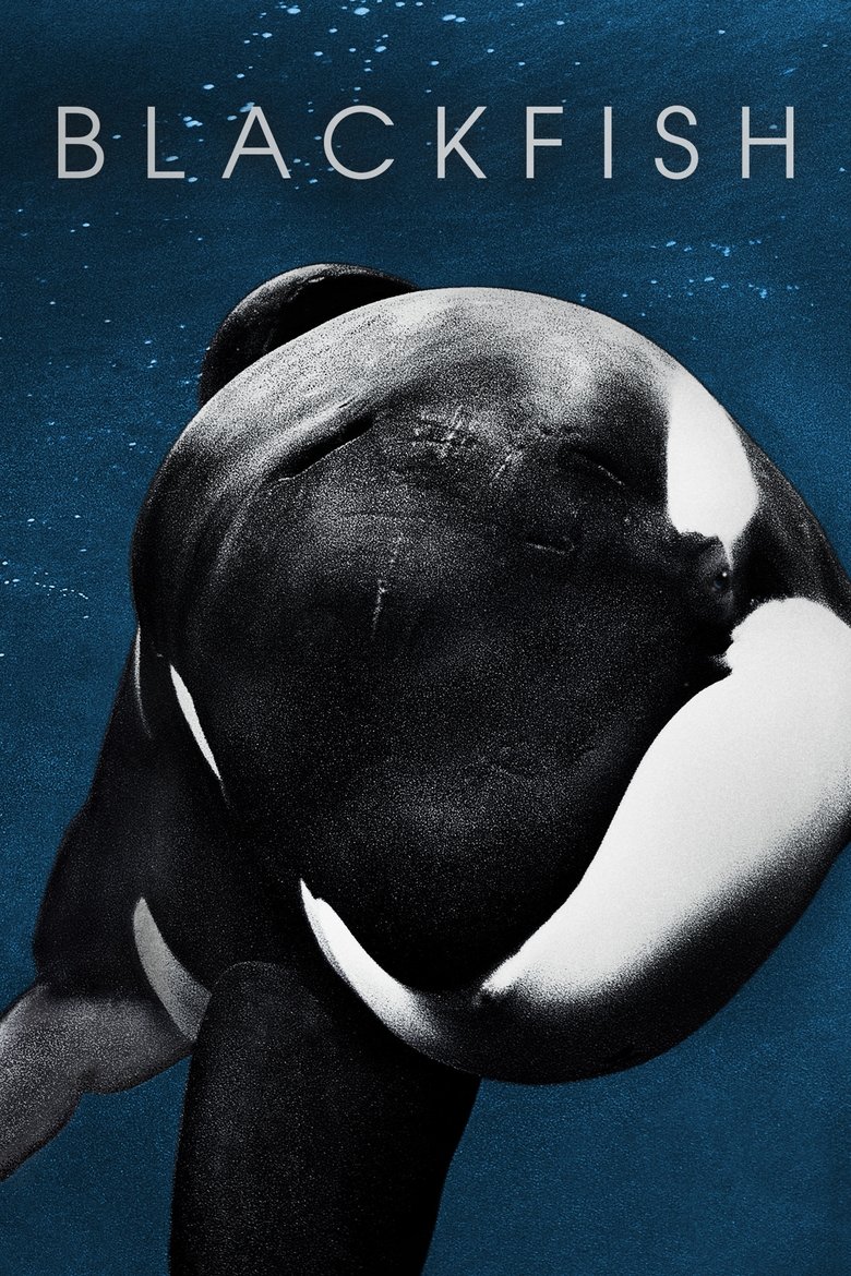 Blackfish (DVD)