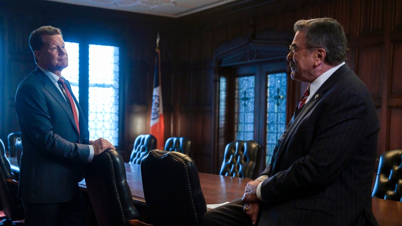 Blue Bloods - Season 14 (Import)