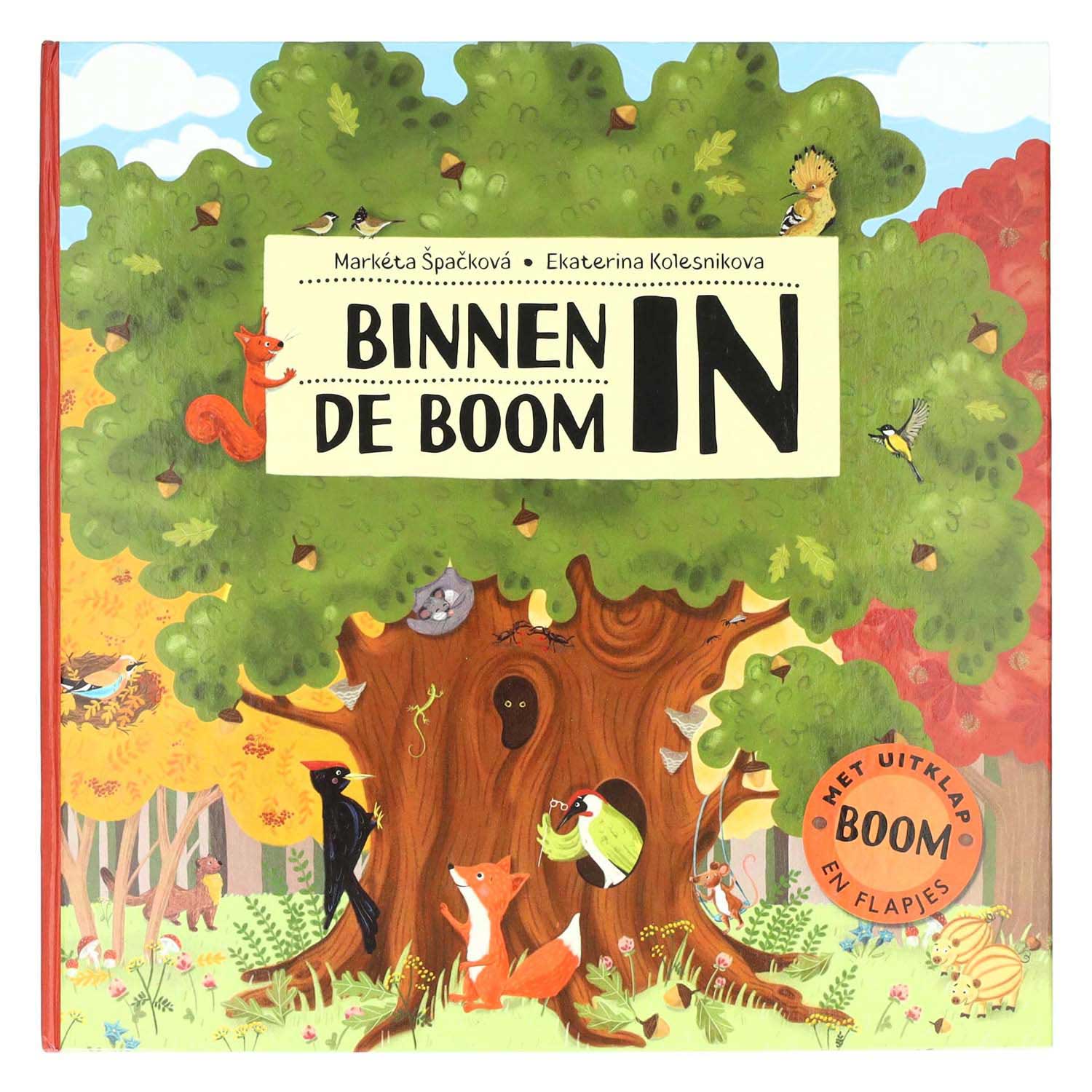 Uitklap- en Flapjesboek Binnen in de Boom