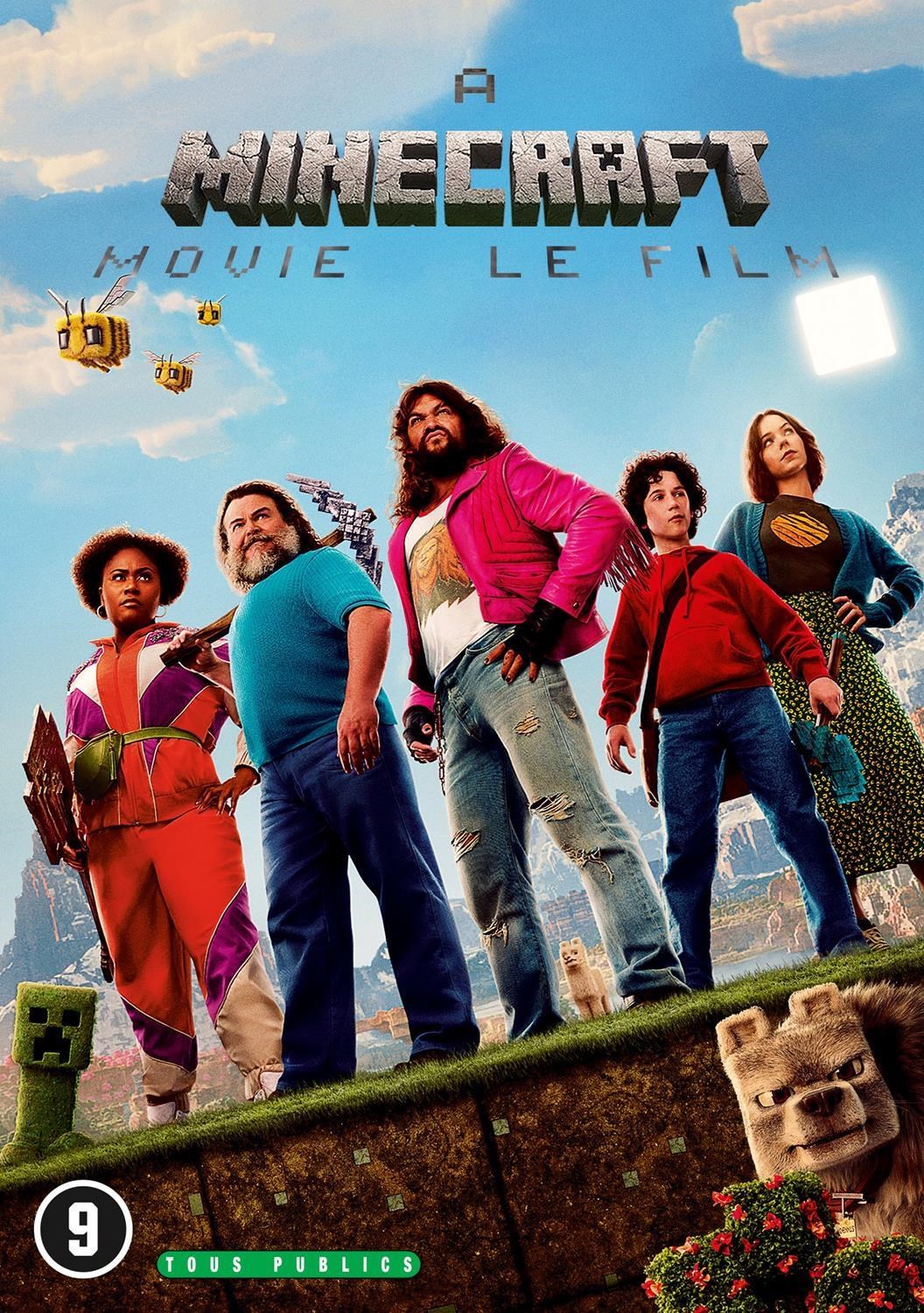 A Minecraft Movie (DVD)
