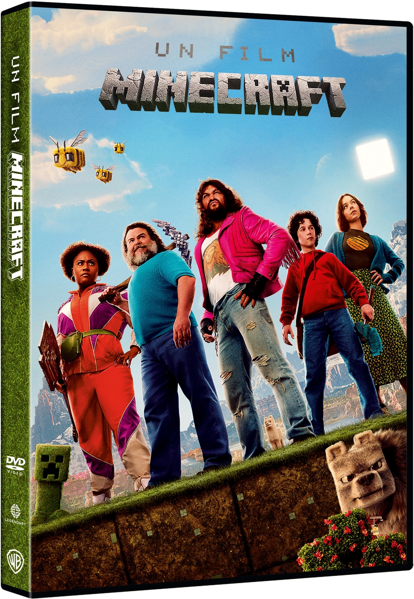 Film Minecraft (Un) (Import)
