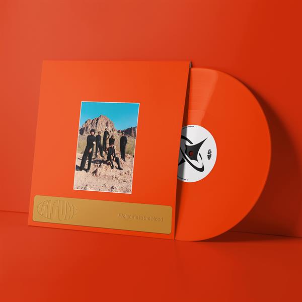 Leisure - Welcome To The Mood (LP)