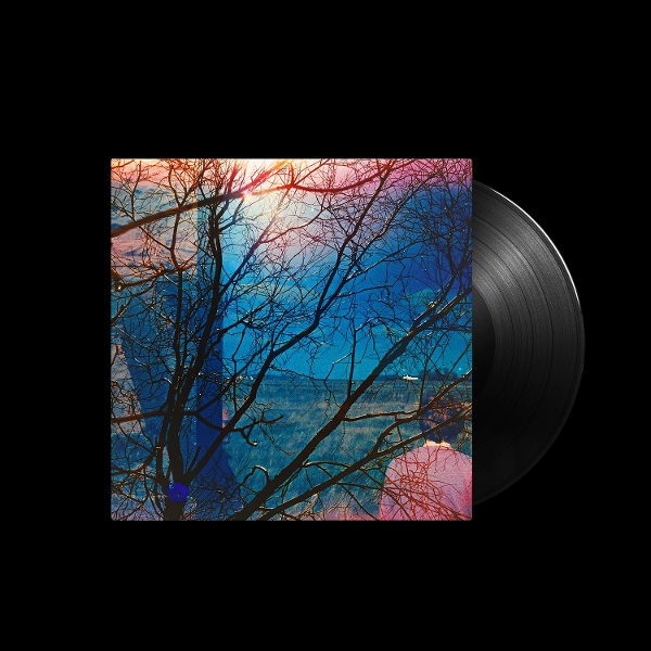 Idlewild - Idlewild (LP)