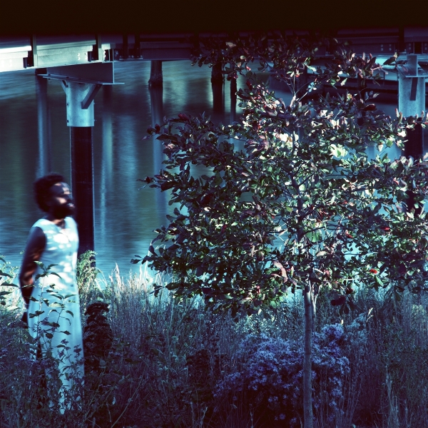 Jjjjjerome Ellis - Vesper Sparrow (LP)