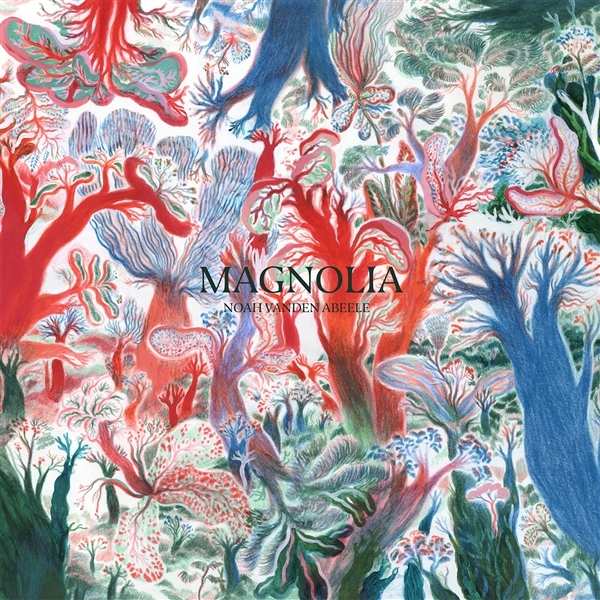 Noah Vanden Abeele - Magnolia (LP)