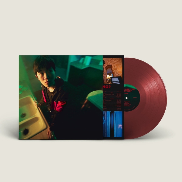 Noso - When Are You Leaving (LP)
