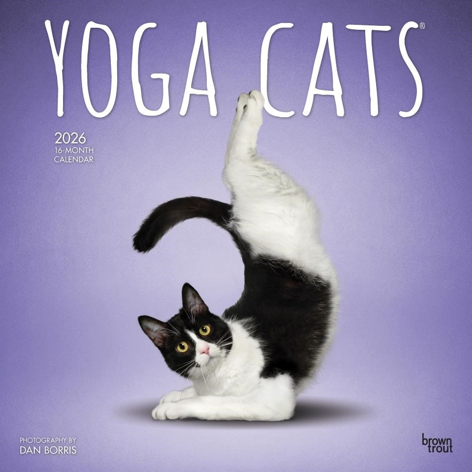 Kalender 2026 - Yoga Cats bt