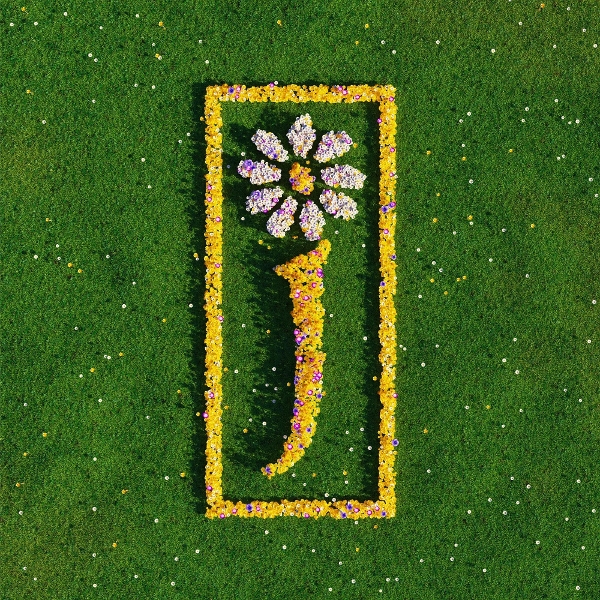 James - Nothing But Love: The Definitive Best Of James (5 LP) (Limited Edition)