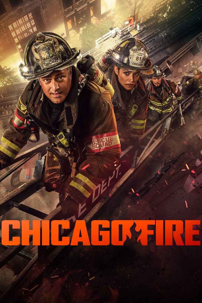 Chicago Fire: Season 13 (Import)