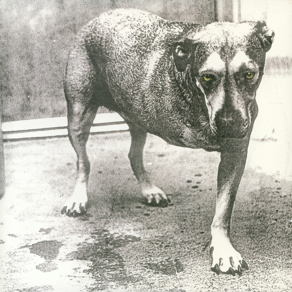 Alice In Chains - Alice In Chains (2 LP) (Coloured Vinyl)
