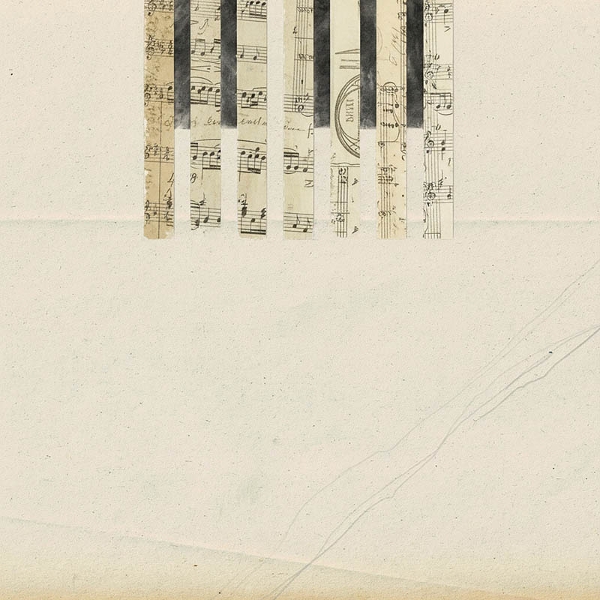 COH & Wladimir Schall - Covers (LP)