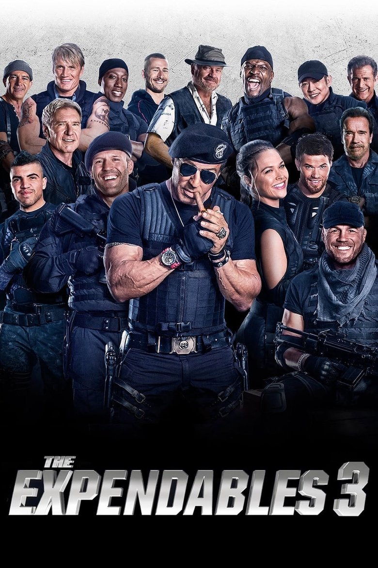Expendables 3 (DVD) (Special Extended Edition)