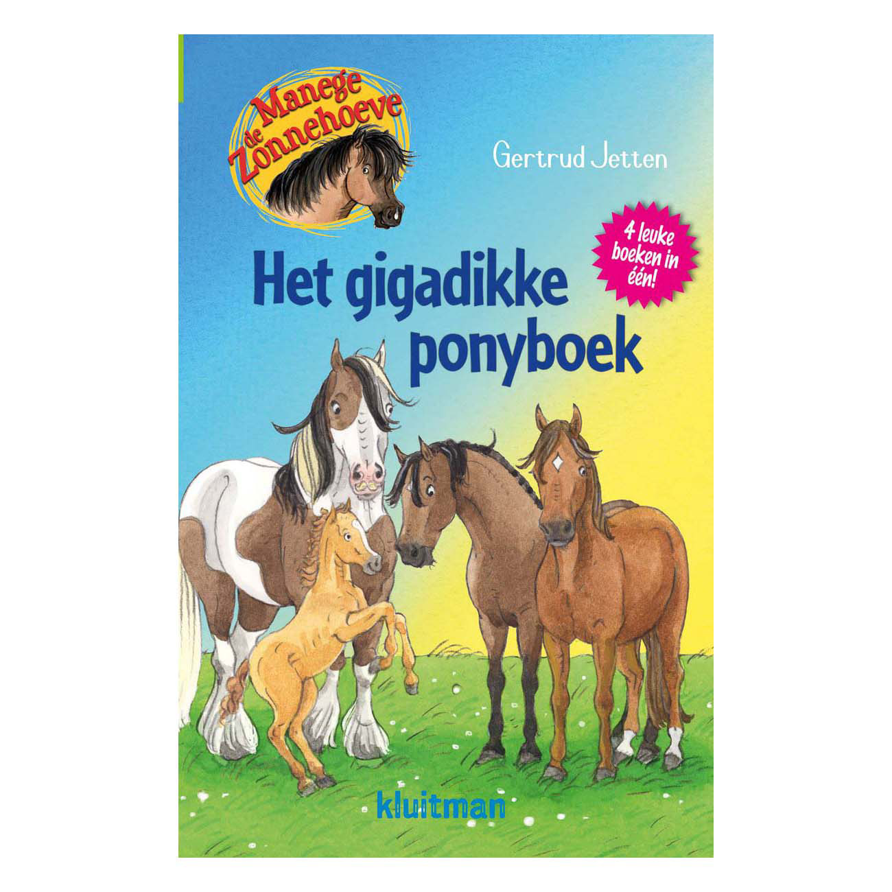 Het gigadikke ponyboek