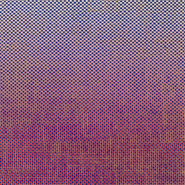 Ambrose Akinmusire & Mary Halverson - Slo-Mo Neon Luminate Hoverings (LP)