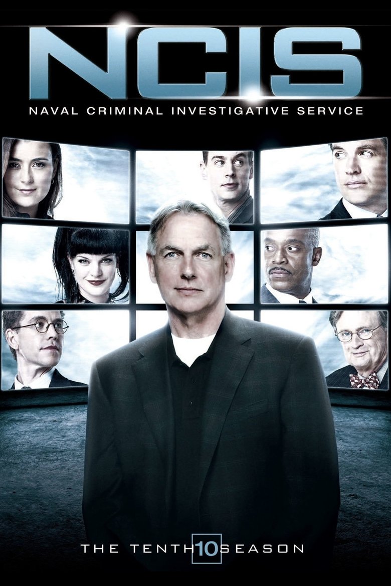 NCIS - Season 10 (Import)