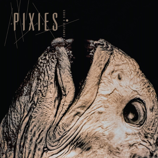 Pixies - Complete B-Sides: 1988-97 (2 CD)