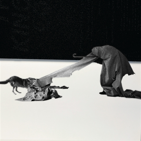 Abandoncy - Assailable Agonism (LP)
