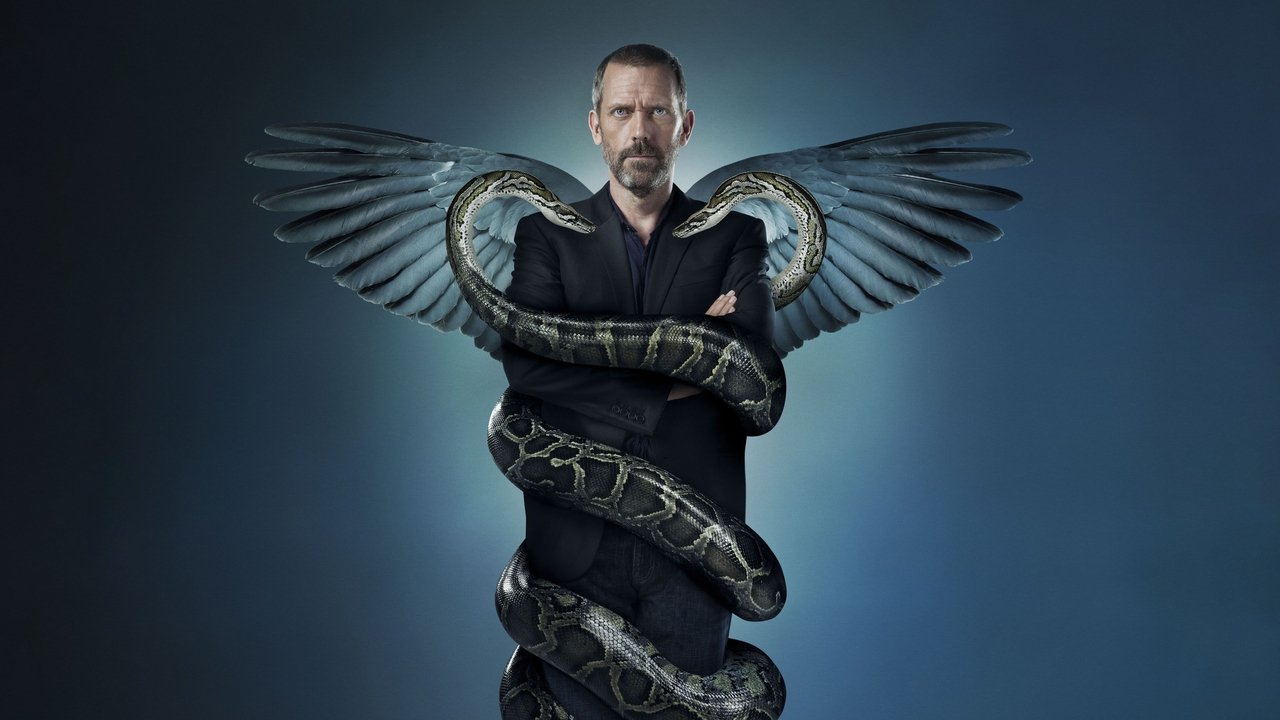 House M.D. - Seizoen 4 (DVD)