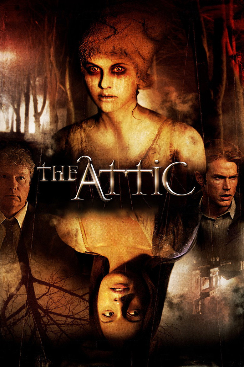 Attic (DVD)