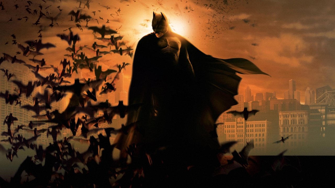 Batman begins (DVD) (Collector's Edition)