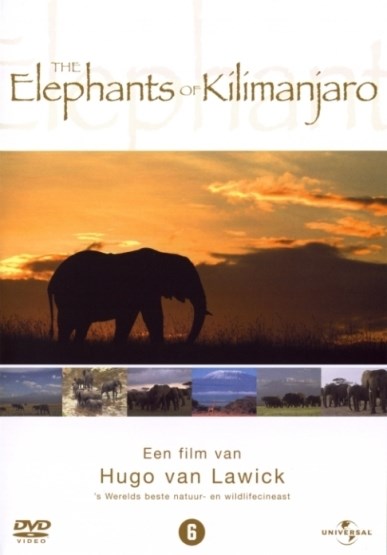 Elephants of Kilimanjaro (DVD)