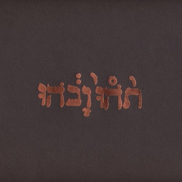 Godspeed You! Black Emperor - Slow Riot For New Zero Kanada (LP)