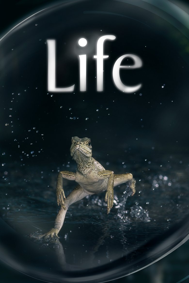 BBC Earth - Life (Blu-ray)