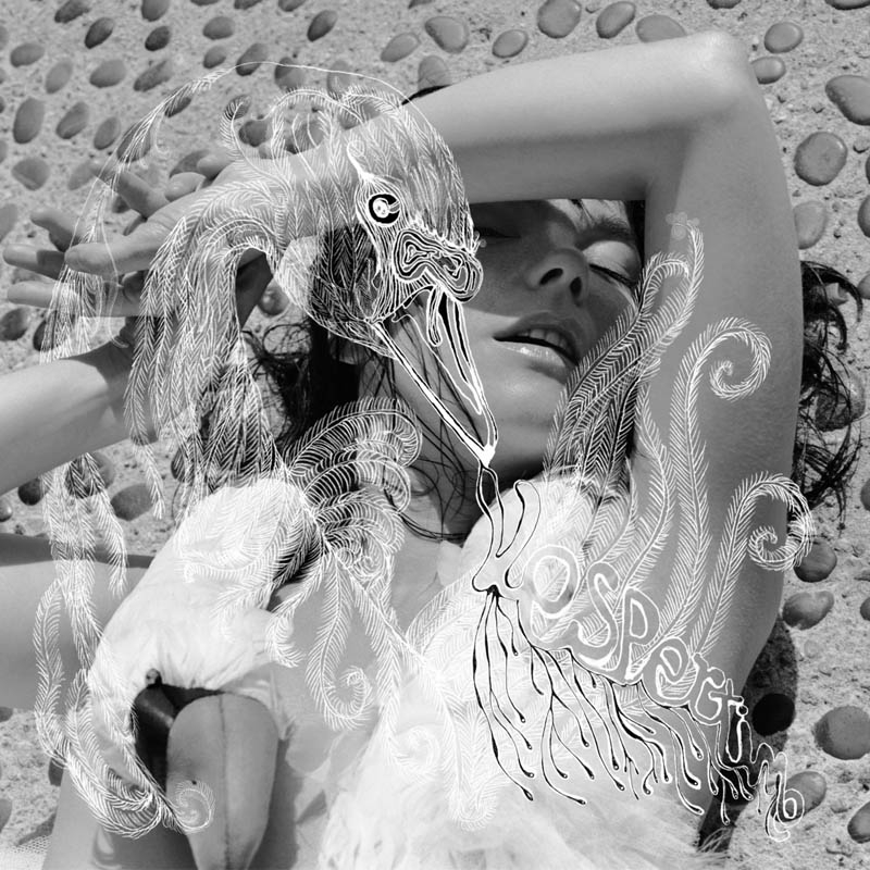 Björk - Vespertine (2 LP)