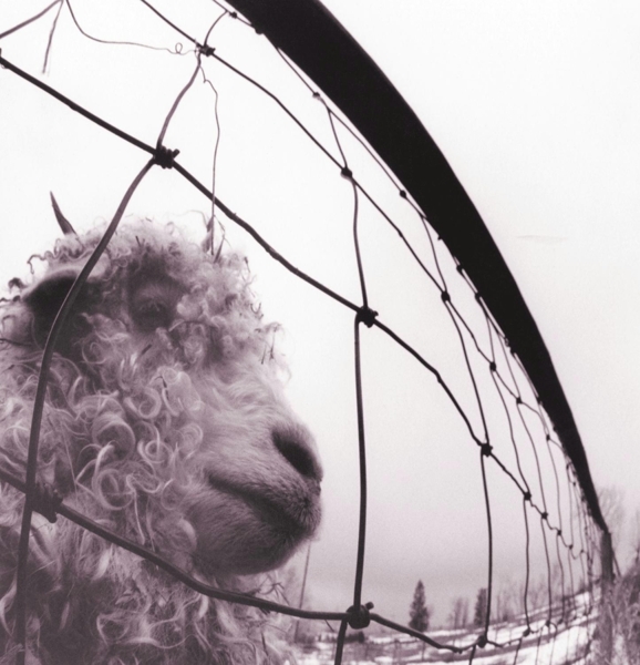 Pearl Jam - Vs. Vinyl Edition (LP) (Remastered)