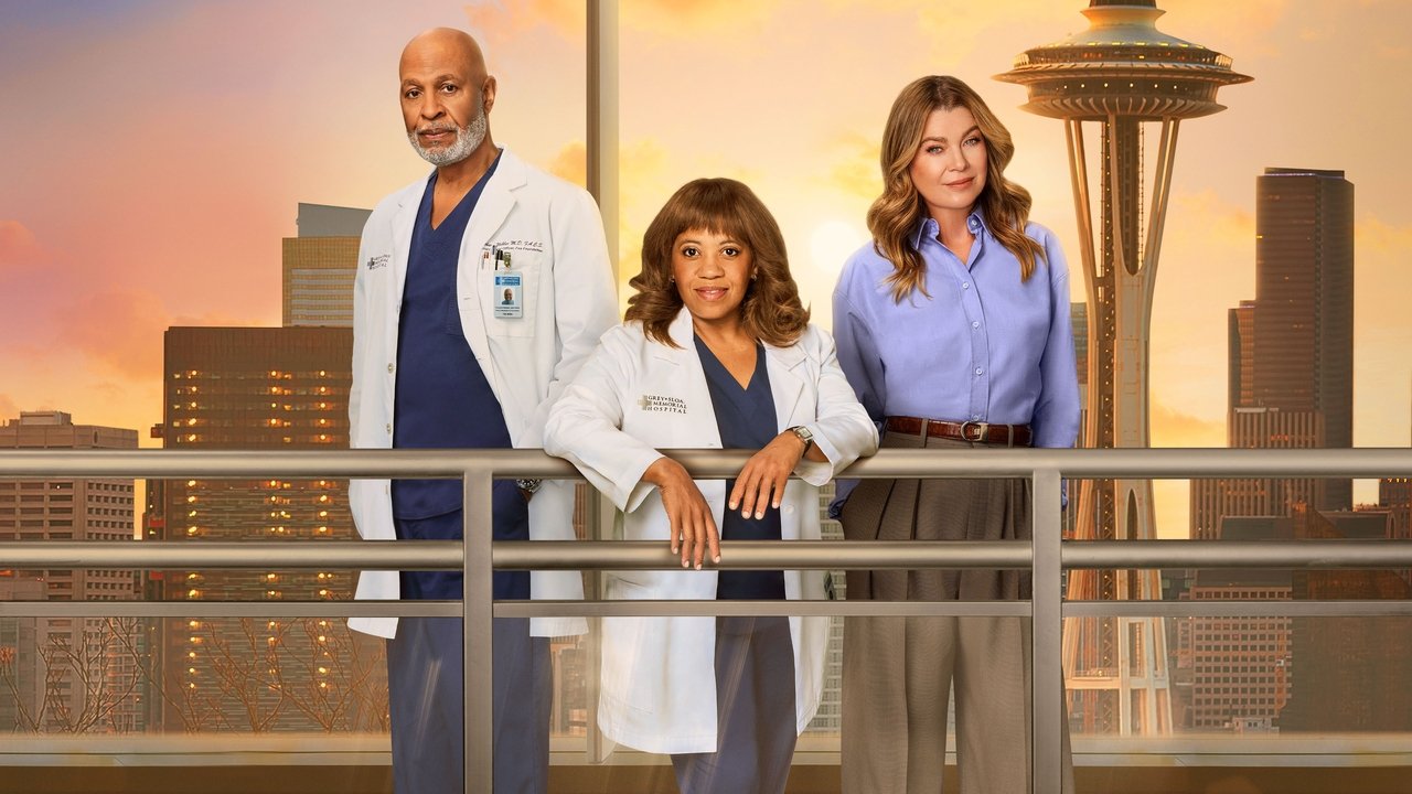 Grey's Anatomy - Seizoen 3 (DVD)