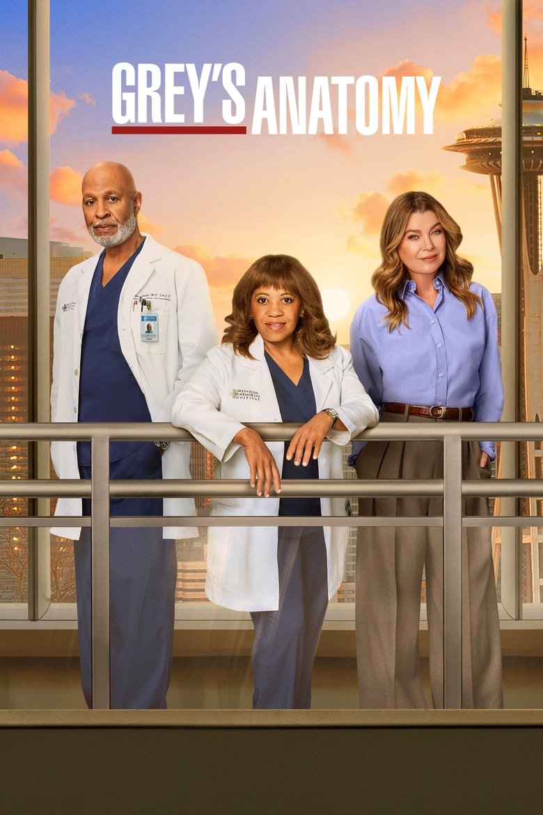 Grey's Anatomy - Seizoen 3 (DVD)