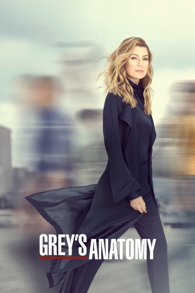 Grey's Anatomy - Seizoen 3 (DVD)